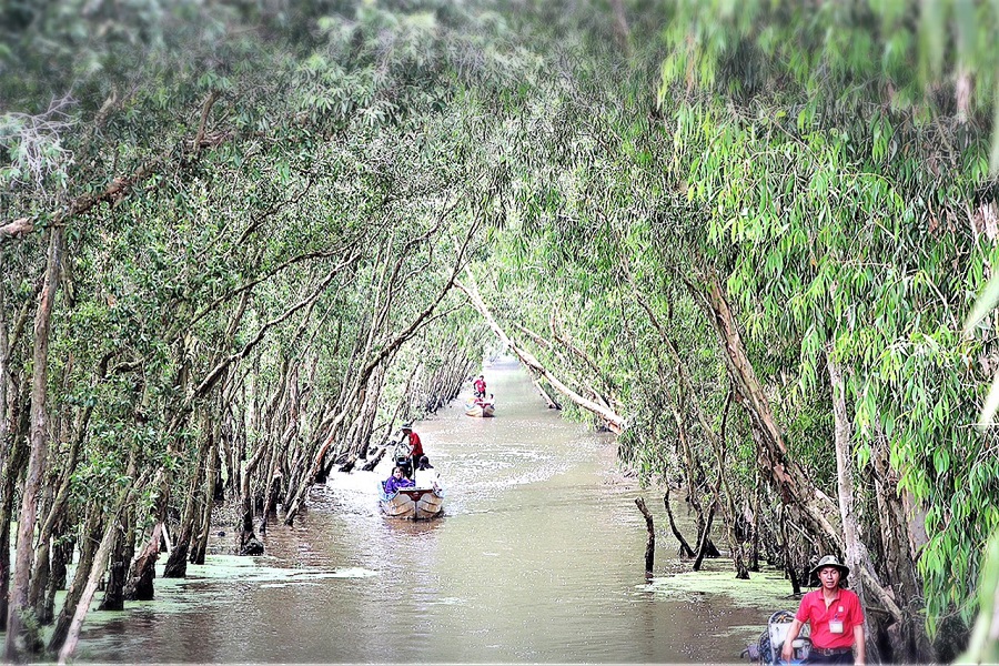 An Giang: Đưa rừng tràm Trà Sư trở thành một điểm du lịch đẳng cấp quốc gia và quốc tế