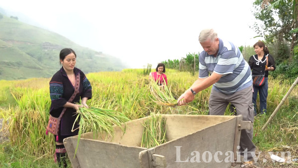 Khám phá, trải nghiệm ruộng bậc thang Hoàng Liên (Lào Cai)