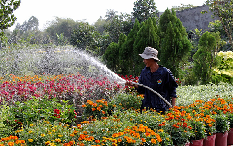 Đồng Tháp: Khát vọng nơi quê hương cách mạng