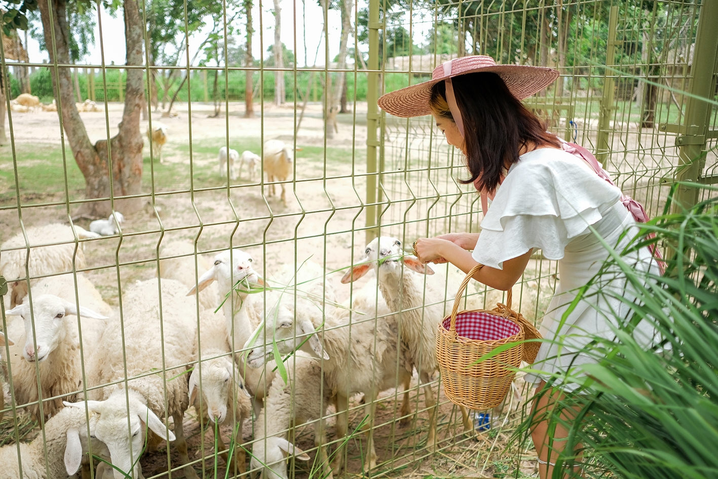 Bà Rịa - Vũng Tàu: Đẩy nhanh cơ hội hồi phục du lịch