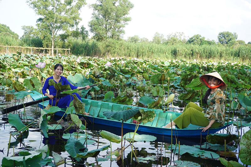 Đồng Tháp: Khôi phục và tiếp tục phát triển lĩnh vực du lịch