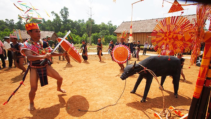 Phát triển Bảo tàng sinh thái