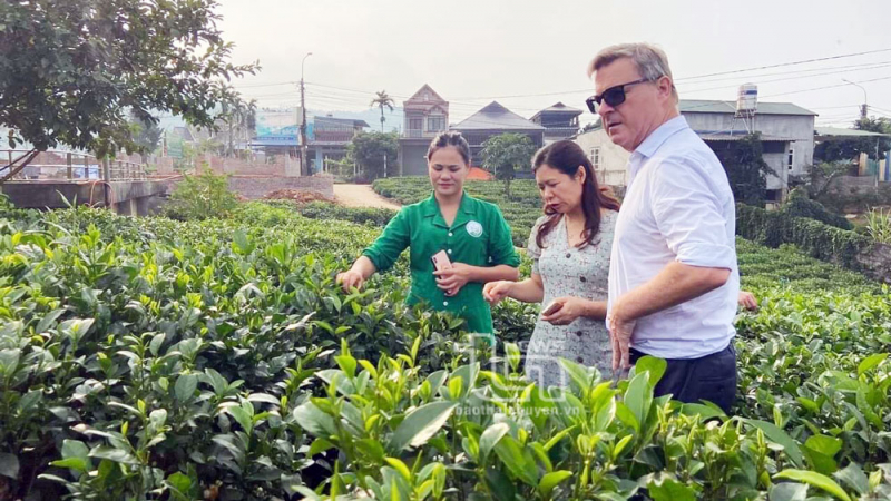 Thái Nguyên: Khai thác lợi thế kinh tế tập thể để phát triển du lịch