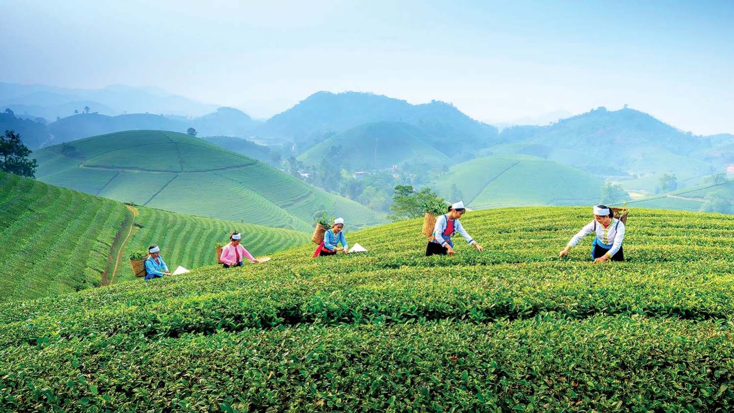 Thái Nguyên chuyển mình thành điểm đến du lịch MICE