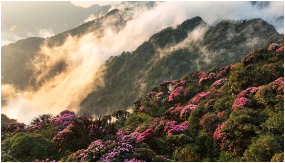 Lai Châu sẵn sàng cho Tuần Du lịch - Văn hóa và Giải Marathon 2025