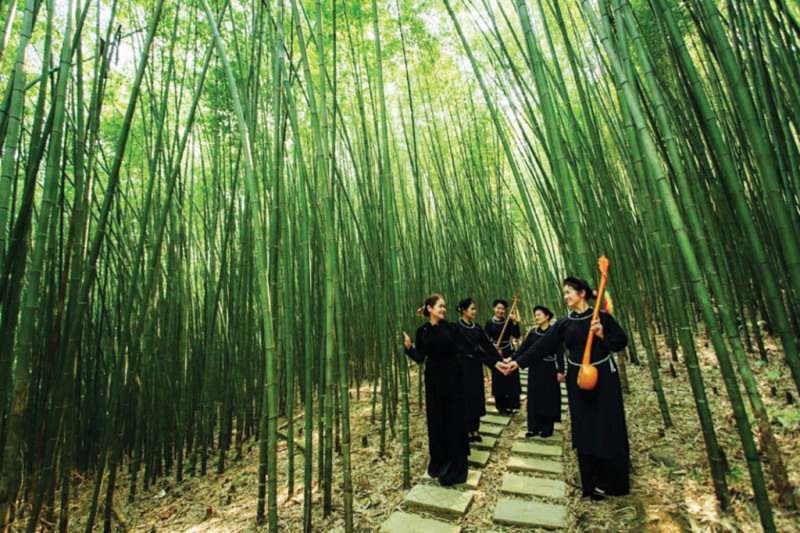 Rừng trúc Bản Phường (Cao Bằng) - Miền xanh yên bình