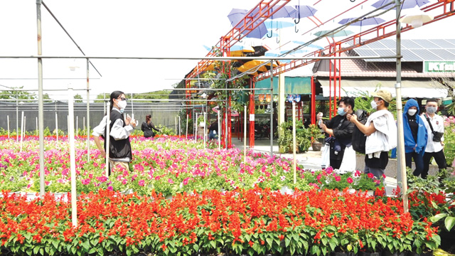 Đồng Tháp: Hàng ngàn du khách tham quan Làng hoa Sa Đéc