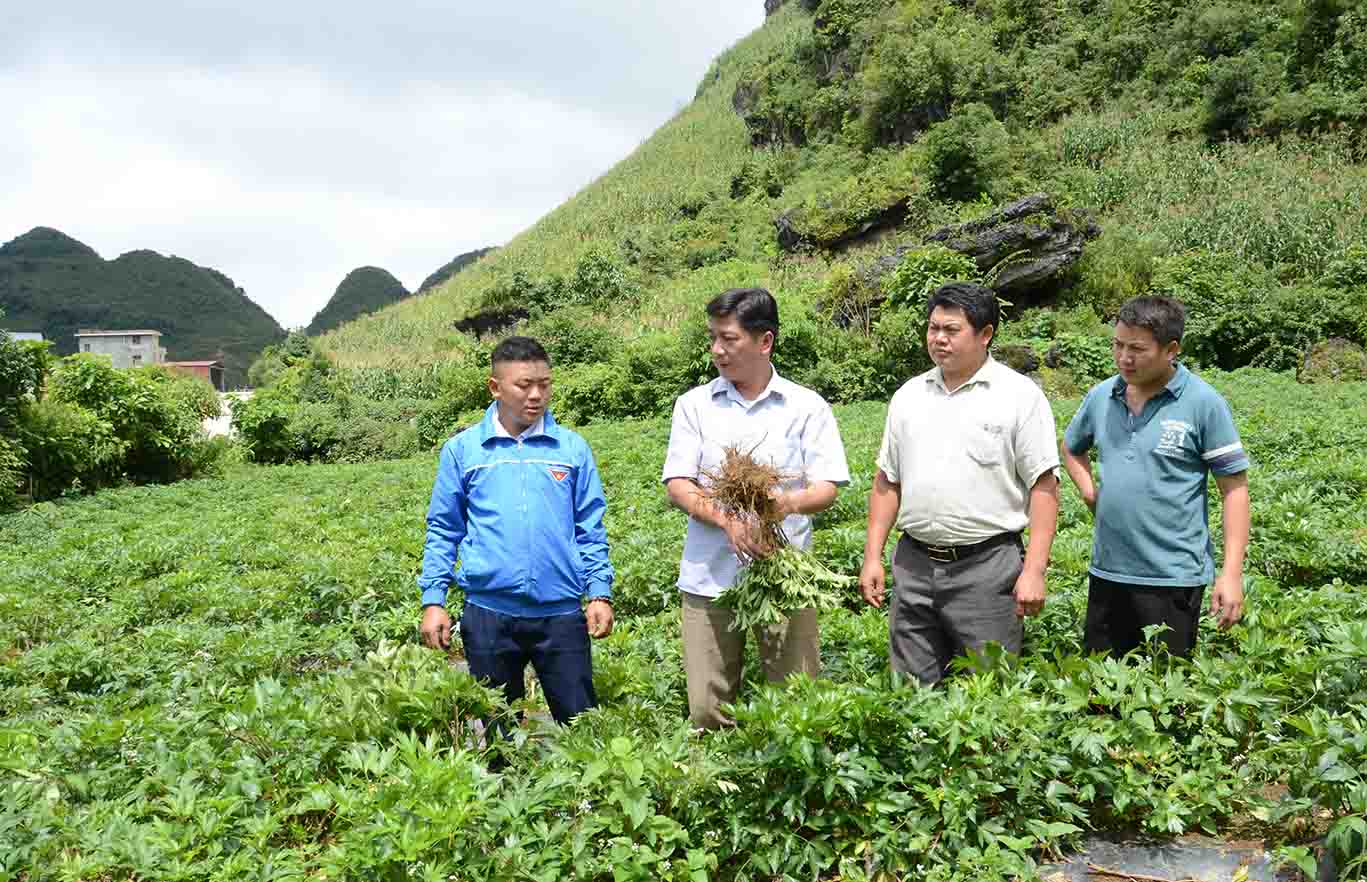 Lai Châu: Tiềm năng du lịch nông nghiệp, nông thôn