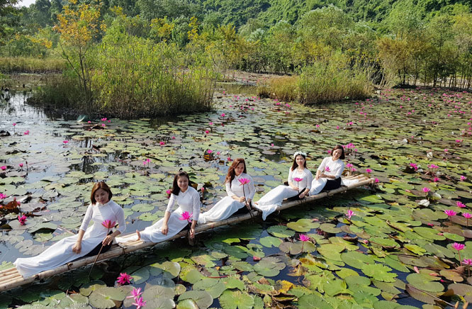 Hà Nội: Suối Yến - mùa hoa súng