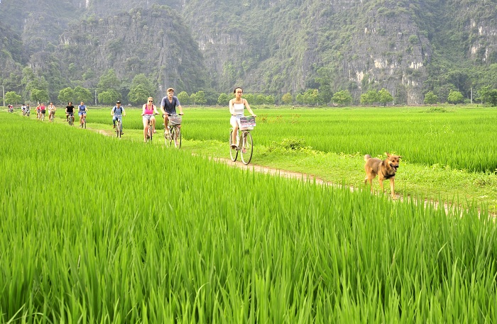 Ninh Bình – Điểm đến du lịch hấp dẫn