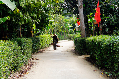 Cơ hội quảng bá du lịch Đại Bình