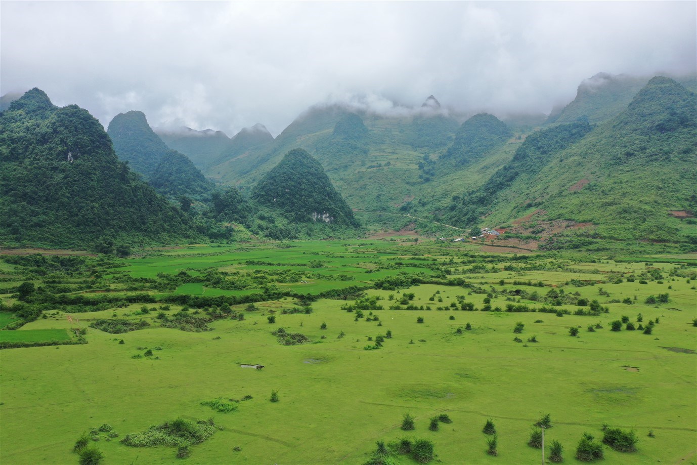 Khám phá vẻ đẹp Thông Nông