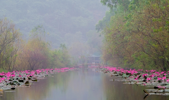 Mơ màng Suối Yến