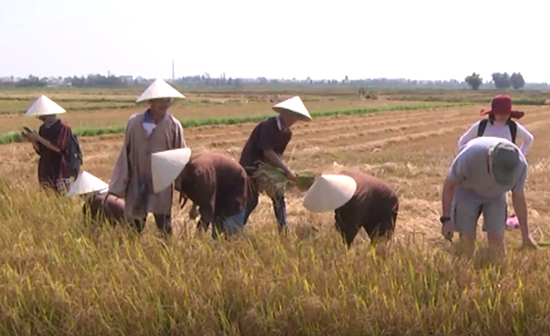 Về Hội An du lịch trải nghiệm