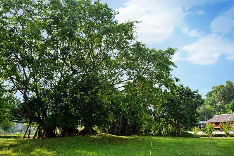 Cuộc thi Ảnh đẹp du lịch Tuyên Quang 2019