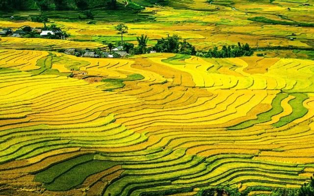CN Traveler bình chọn Mù Cang Chải vào top 