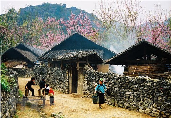 Hàng nghìn du khách đến Cao nguyên đá Đồng Văn dịp Tết Nguyên đán
