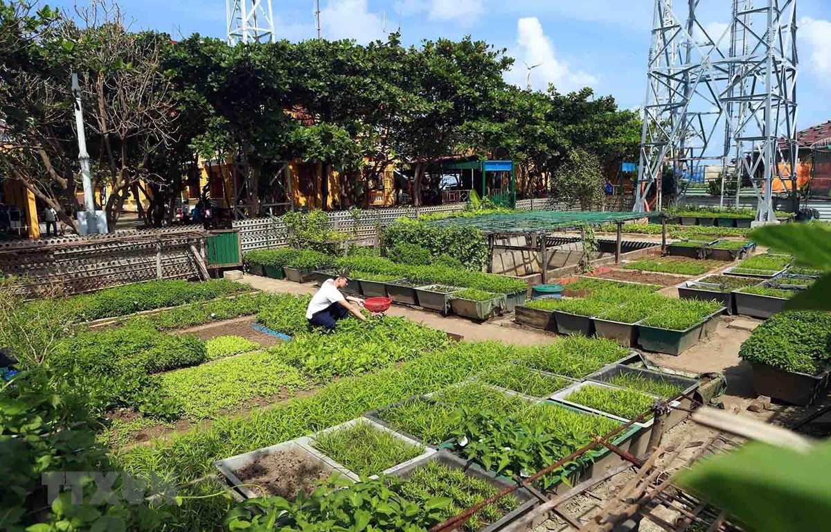 Những hòn đảo xanh ngát giữa biển trời Trường Sa