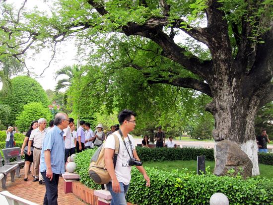 Ông Vũ Thế Bình, Phó Chủ tịch Hiệp hội Du lịch Việt Nam: Bình Định sẽ trở thành một trung tâm du lịch