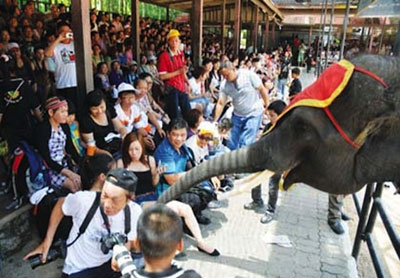 Giới kinh doanh du lịch lo tour Thái ‘cõng’ phí sân bay 